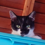 アロちゃん (3).JPG